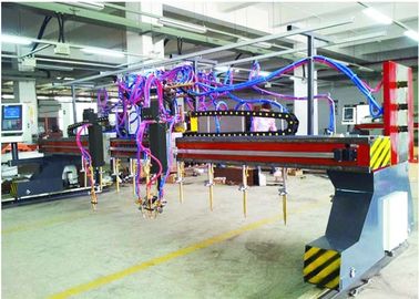 Type flamme du portique CNC5-5000X14000 de bande et découpeuse tête multi 9+1+1 de plasma